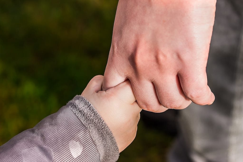 family law attorney
