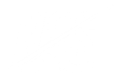 space tourism society