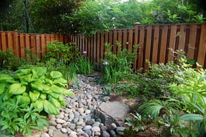 my-back-garden | Cascadian Nurseries