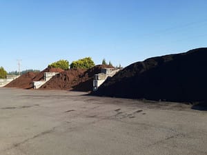 Bark-dust-scaled | Cascadian Nurseries