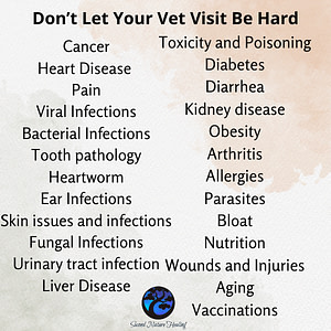 pet health and diseases