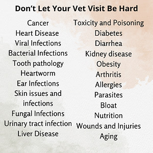 pet health