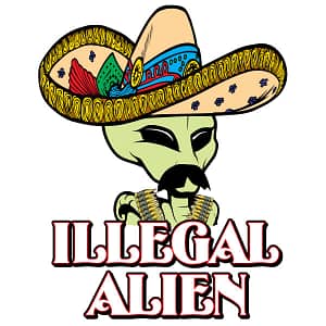 illegal alien