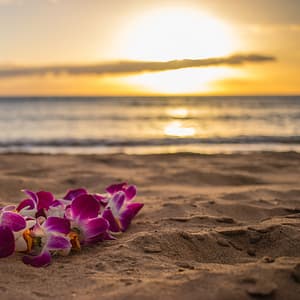 hawaii beach retreat