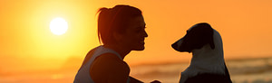 dog and owner at sunset