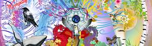shamanic medicine wheel
