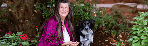 schedule a healing session