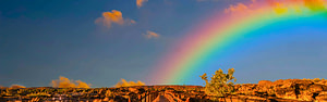 life path, successful healing business