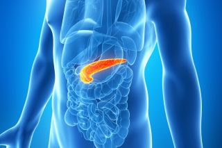 Pancreas Health Glycerite