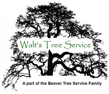 walts tree service