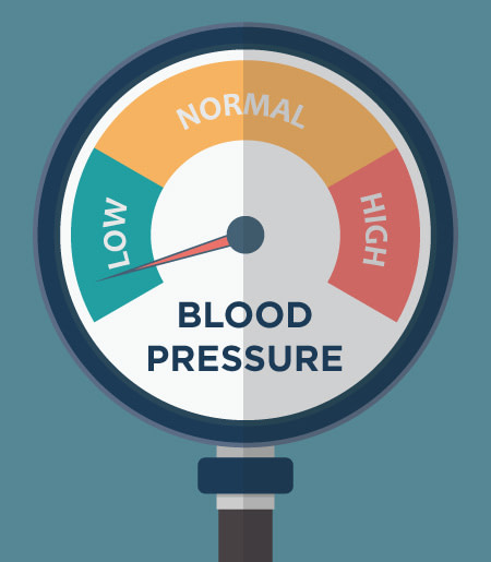 Blood Pressure UP Glycerite