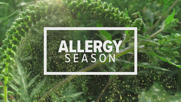 Cold & Allergy Relief Package
