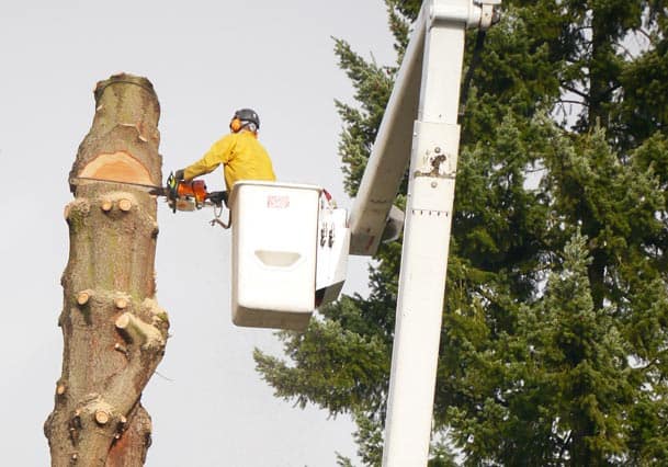 Beaver Tree service 75-foot bucket truck