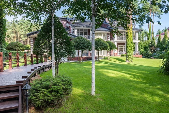 tree pruning by tree service company
