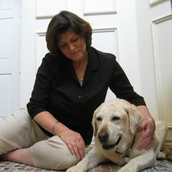 success over cancer in dogs Reiki for animals canine cancer
