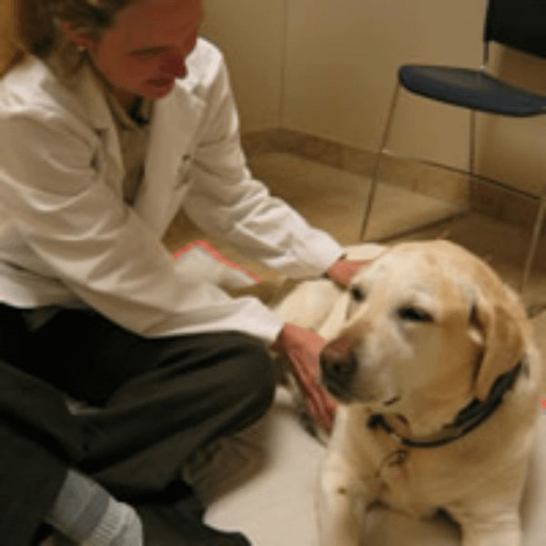 Ginger acupuncture Second Nature Healing®