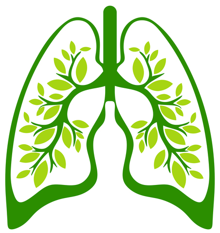 Lung Health Glycerite | From Roots