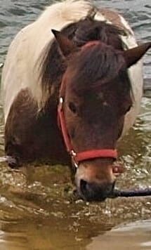 OLYMPUS DIGITAL CAMERA | Northern Pathways