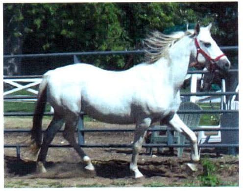 hollywood3-orig_orig