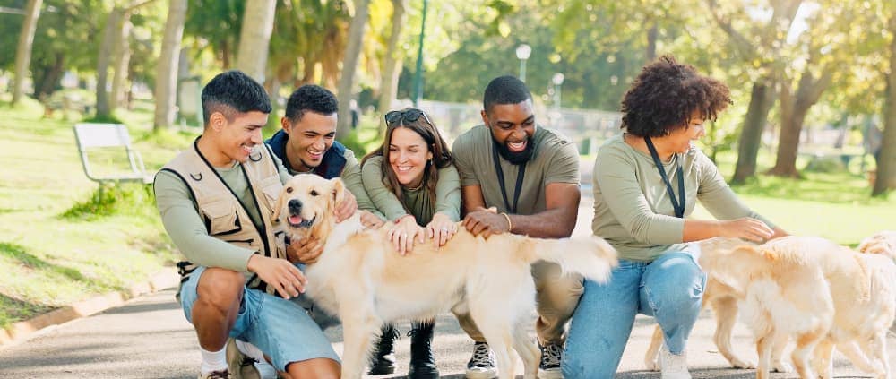 Funding for Animal Organization | Humble 5