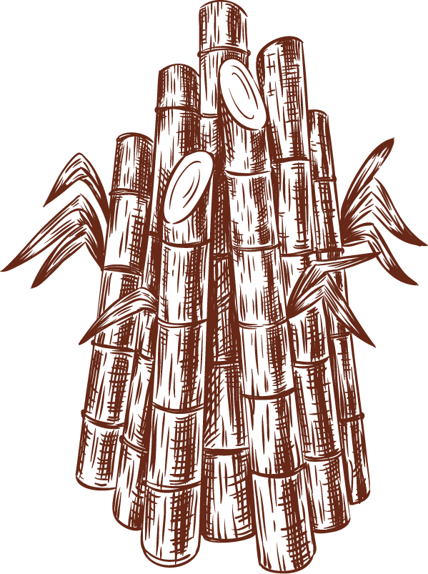 Sugar Cane3x | Humble 5