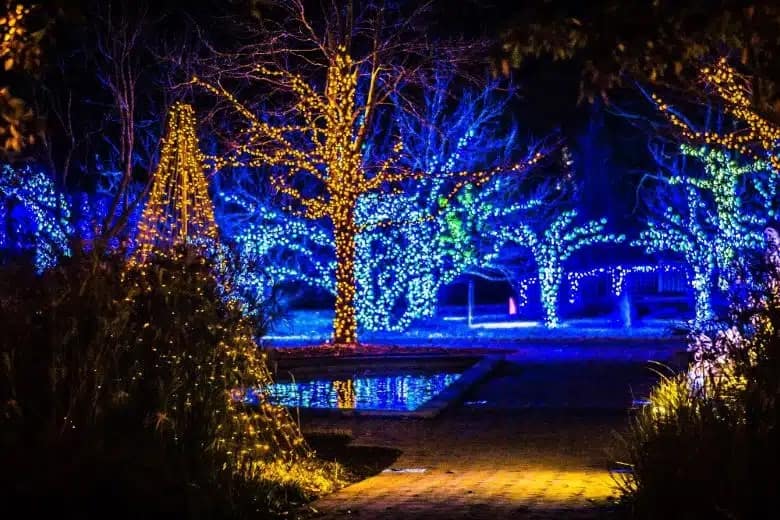 Commercial-Christmas-Lighting-Service-2jpg