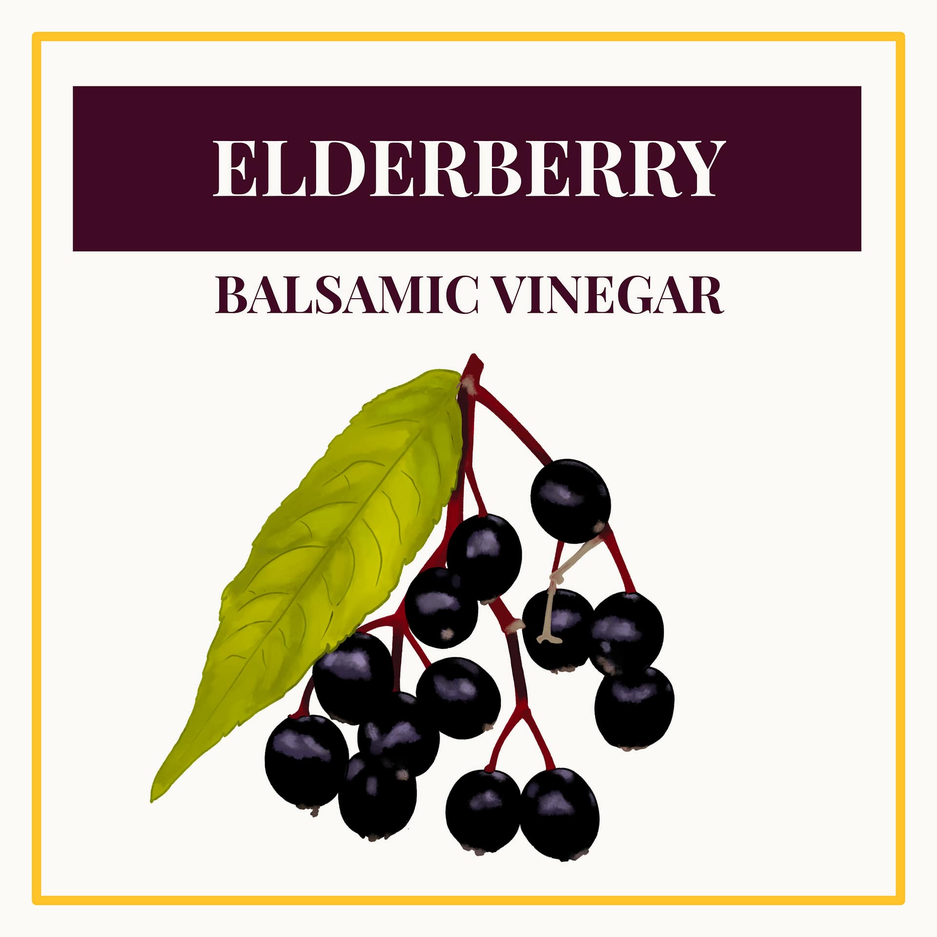 Elderberry Dark Balsamic Vinegar