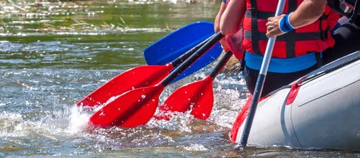 AdobeStock_286304759