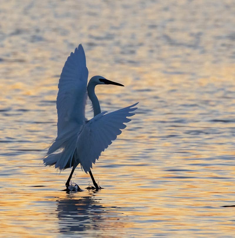 AdobeStock_399395516