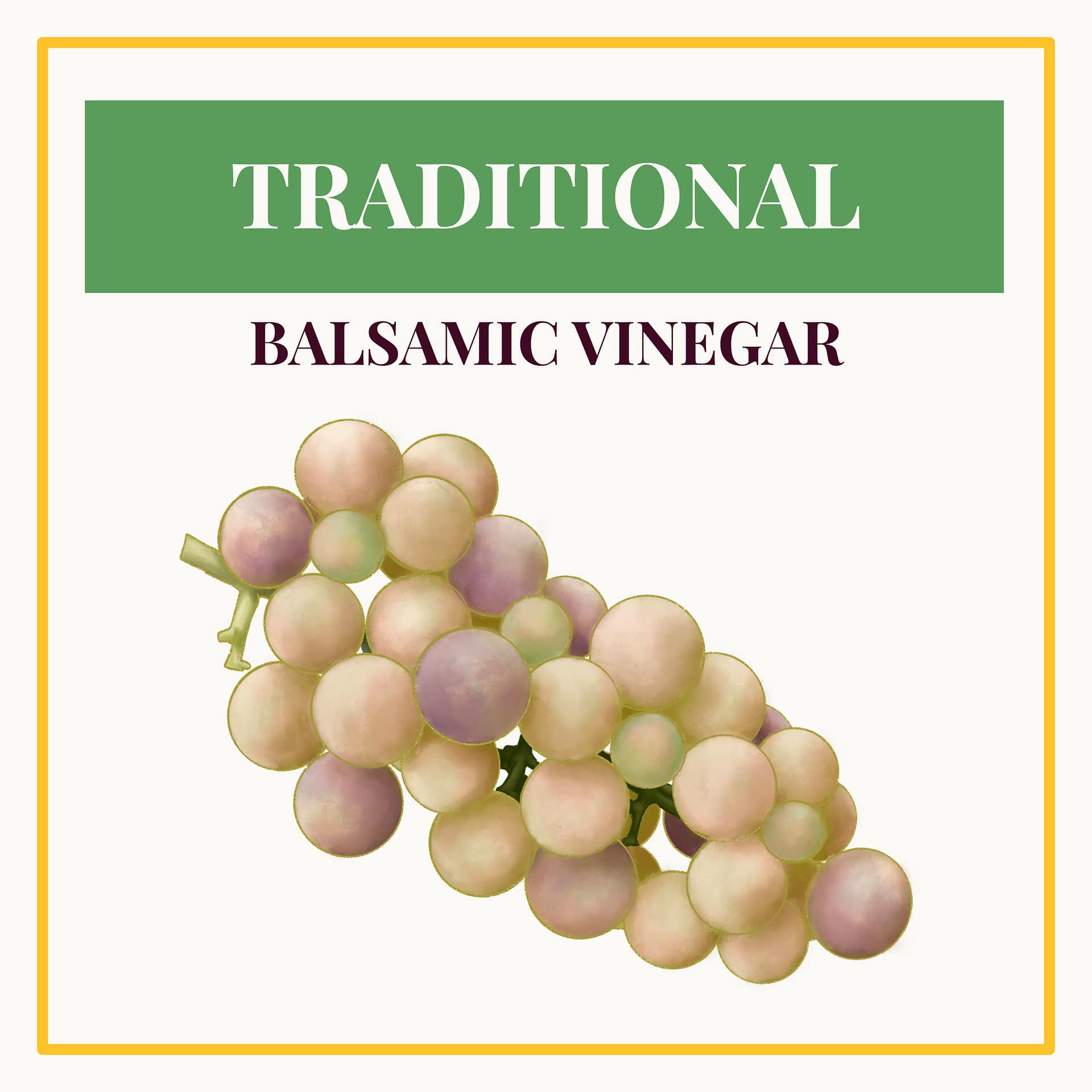 Traditional Balsamic Vinegar
